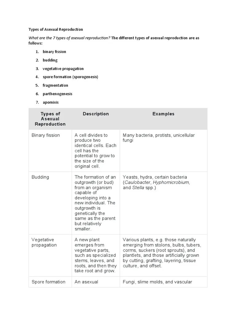 Types Of Asexual Reproduction | Download Free PDF | Cloning | Reproduction