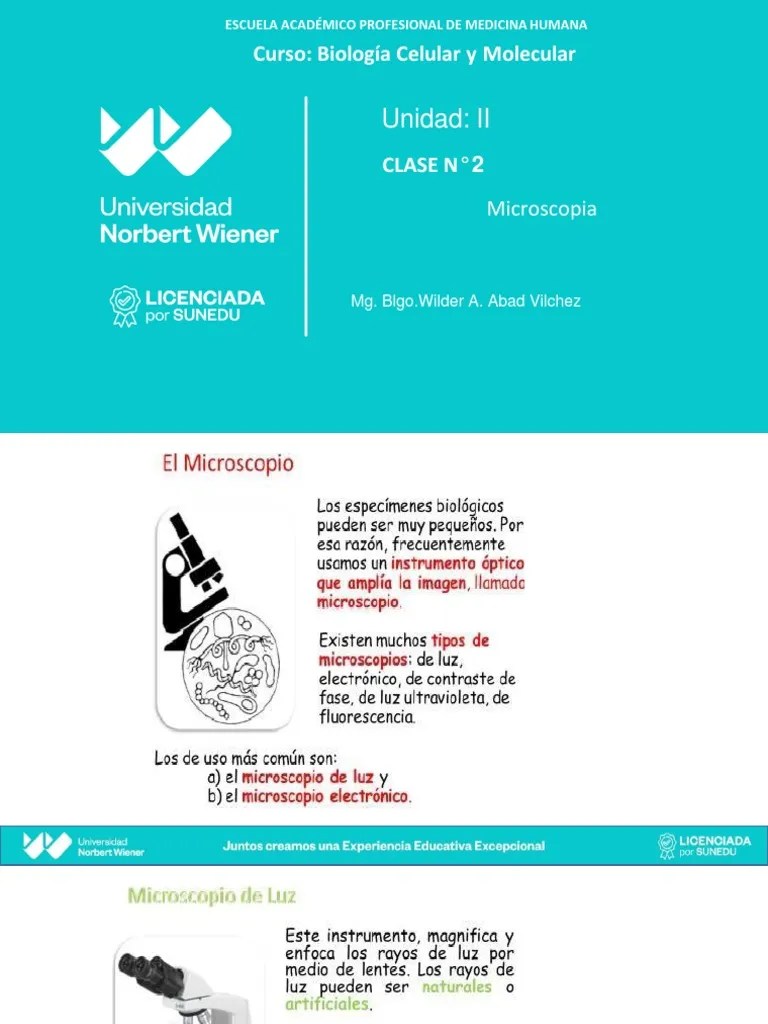 Practica 2 - Micros | PDF | Óptica | Microscopio