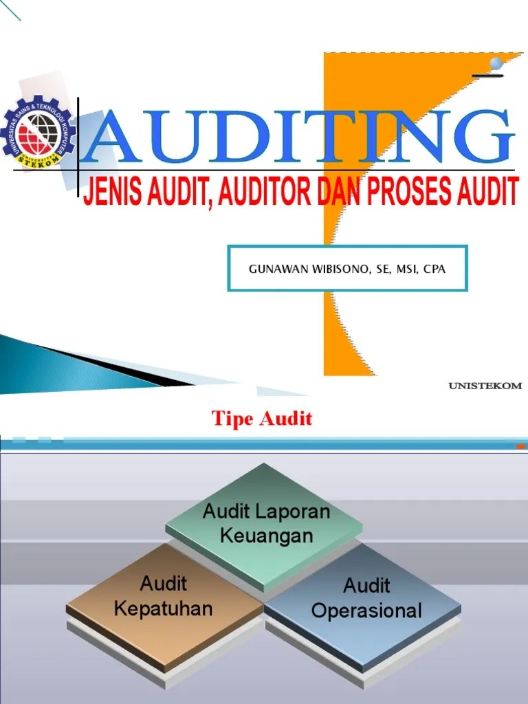 (Pertemuan Ke-3) Tipe Audit, Auditor Dan Proses Audit | PDF