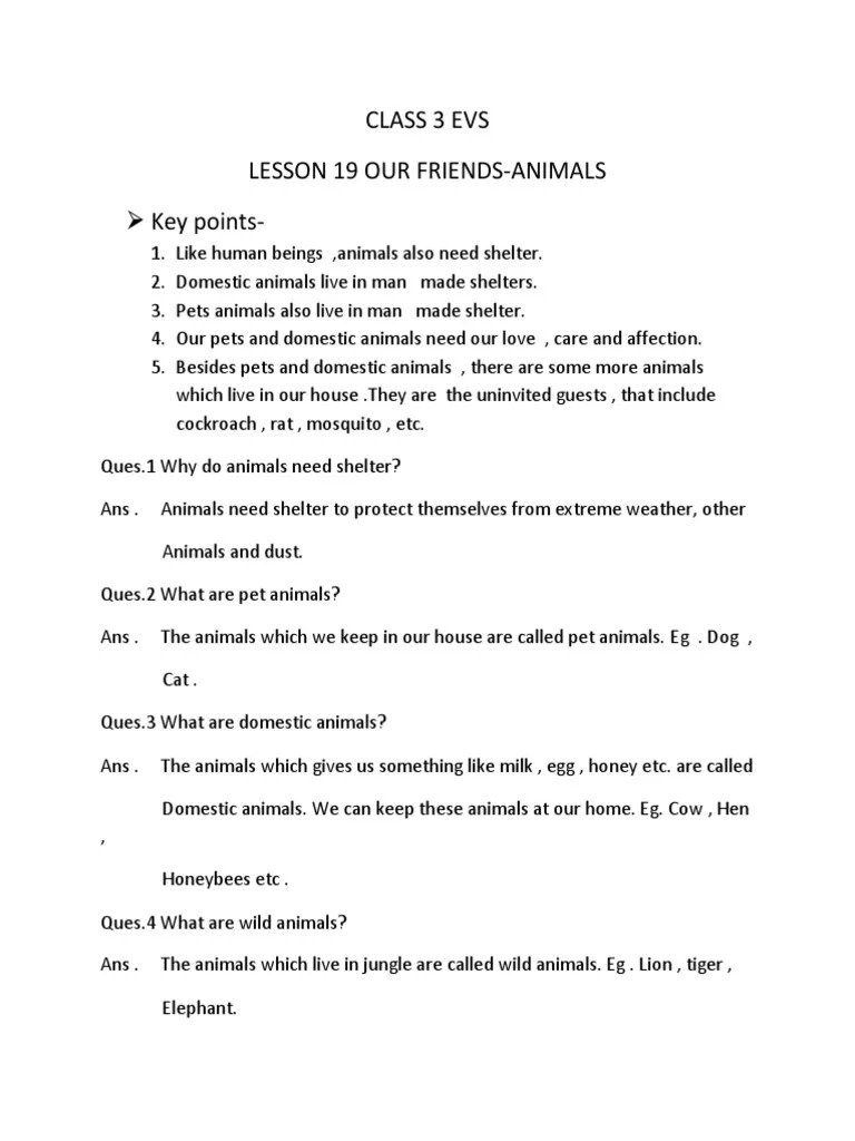 Class 3 Evs - Our Friends Animals | PDF | Pet | Foods