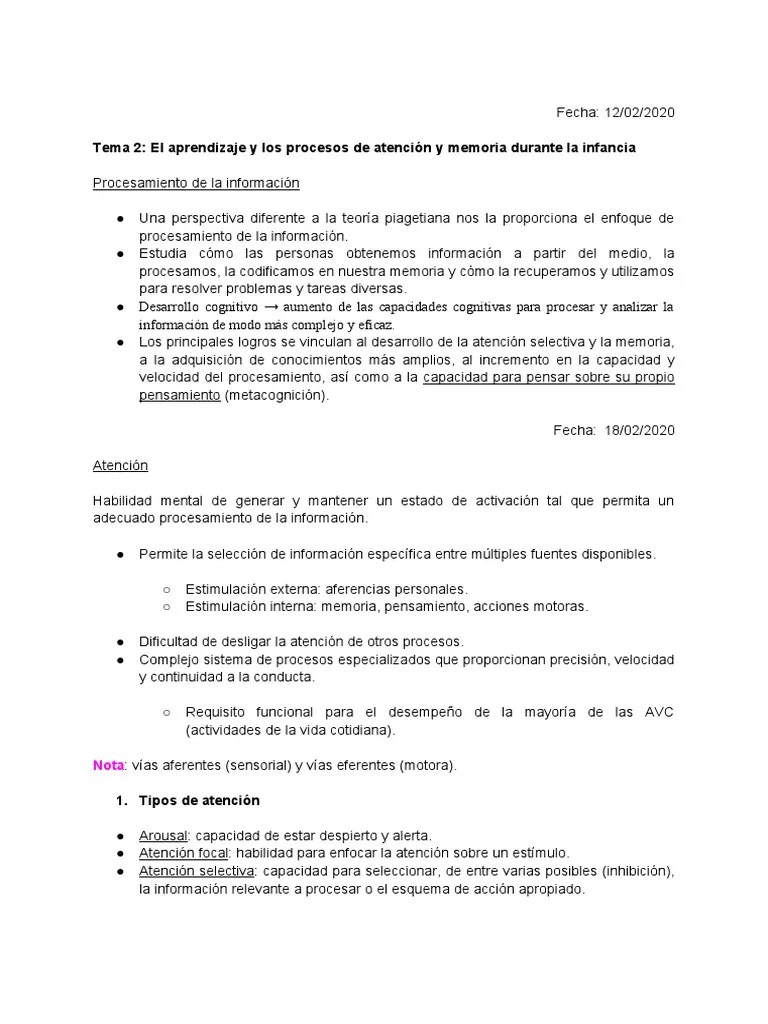 Tema 2 - El Aprendizaje Y Los Procesos De Atención Y Memoria Durante La Infancia | PDF | Memoria ...