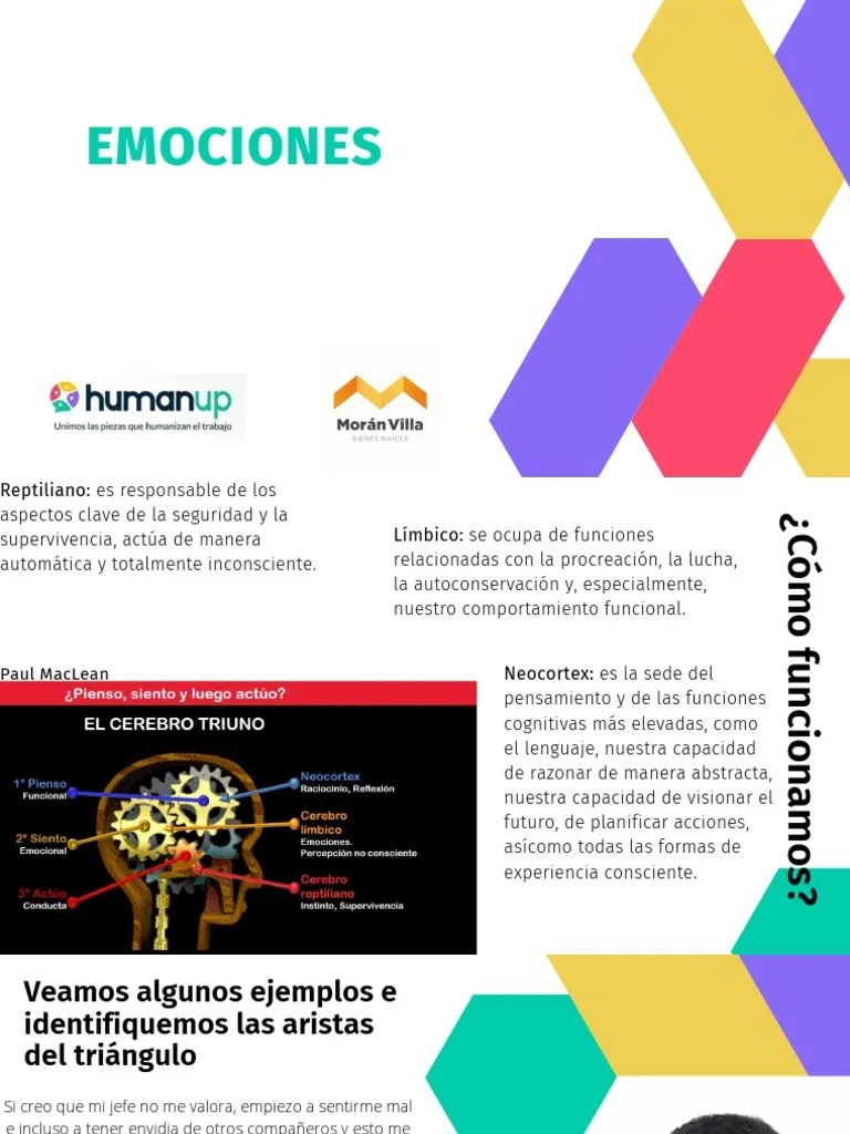 Liderazgo Y Emociones | Descargar Gratis PDF | Las Emociones | Pensamiento