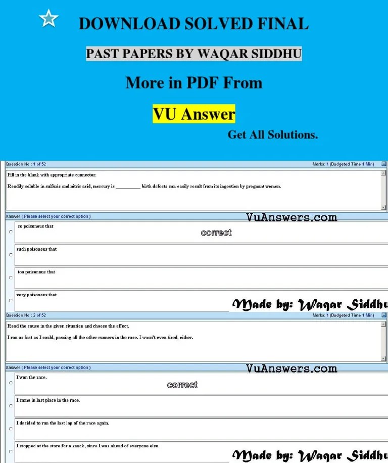 ENG101 Final Term MCQs By Waqar Siddhu | PDF