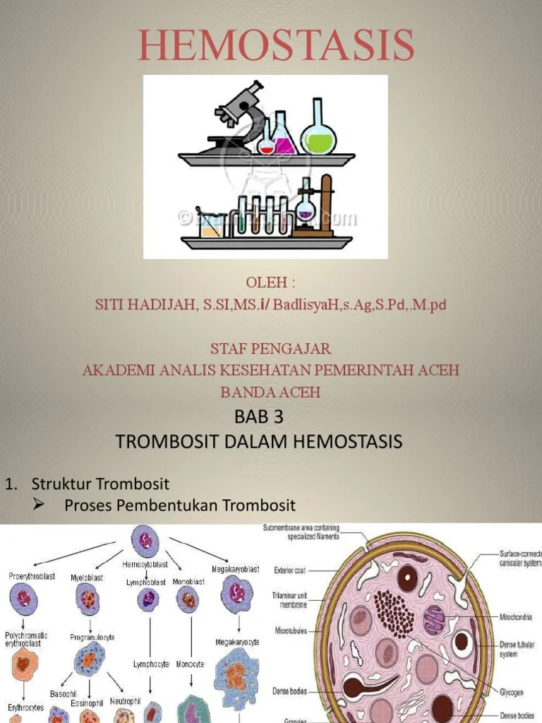 MEKANISME PEMBEKUAN DARAH | PDF