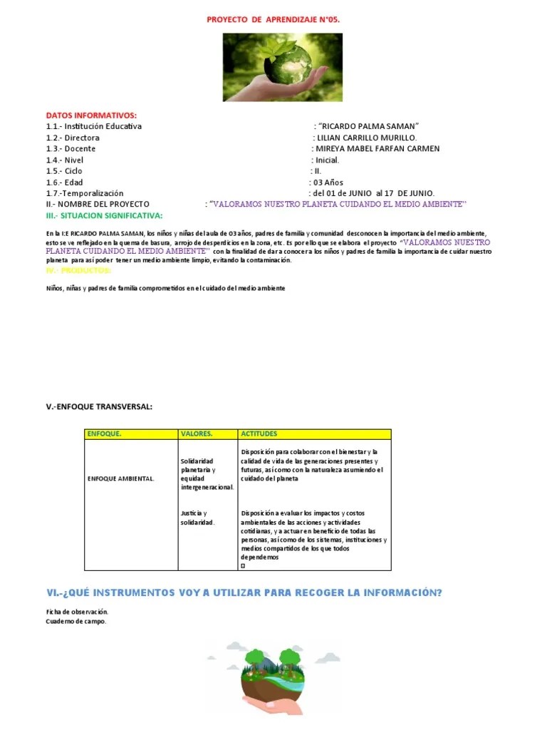 3 Años Proyecto De Aprendizaje | PDF | Queso | Cuentos