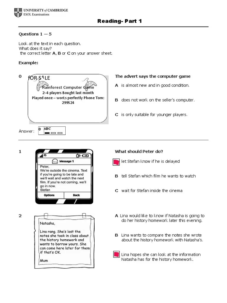 Reading Comprehension PET | PDF