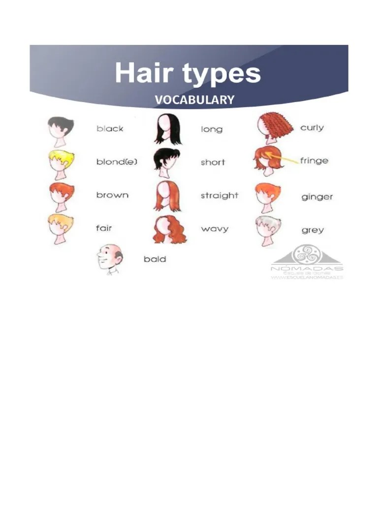 Types Of Hair | PDF