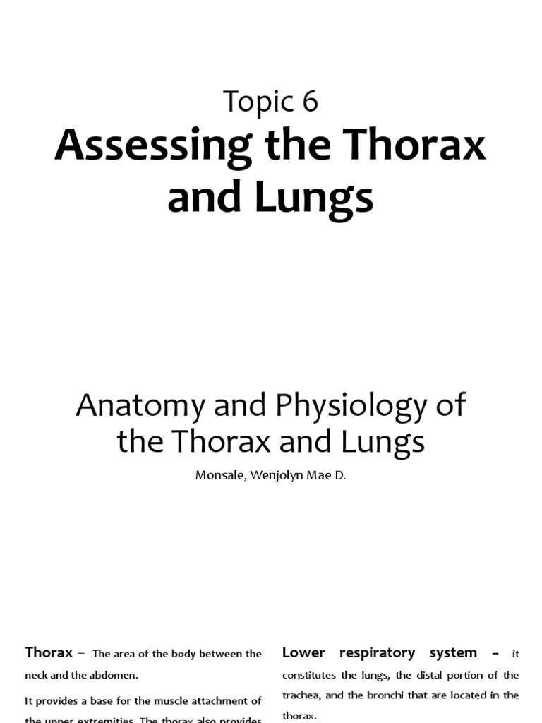 Assessing Thorax And Lungs TOPIC 6 | Download Free PDF | Thorax | Lung