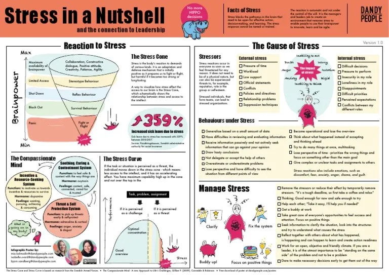 Stress In A Nutshell 2 | PDF | Stress (Biology) | Anxiety