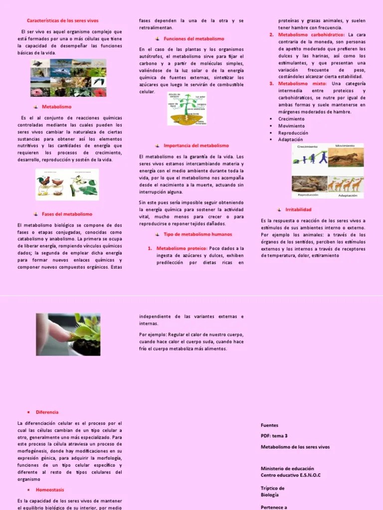 Características De Los Seres Vivos | PDF | Metabolismo | Organismos