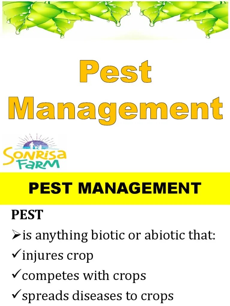 Pest Management | PDF | Pest (Organism) | Insects