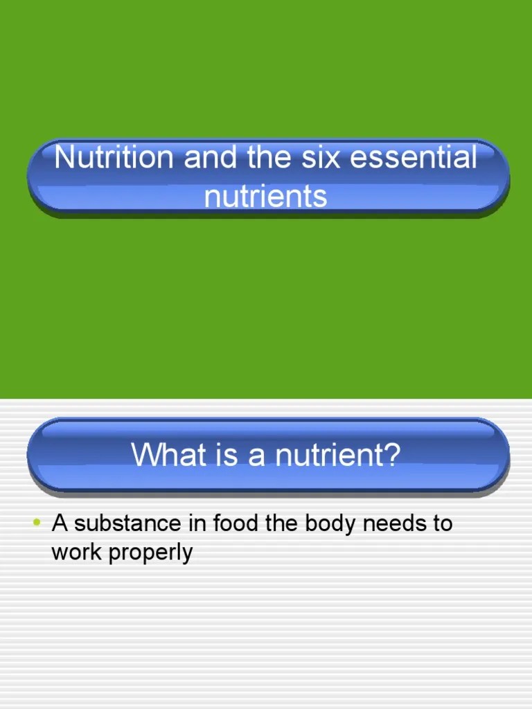 Six Essential Nutrients | PDF | Fat | Nutrients