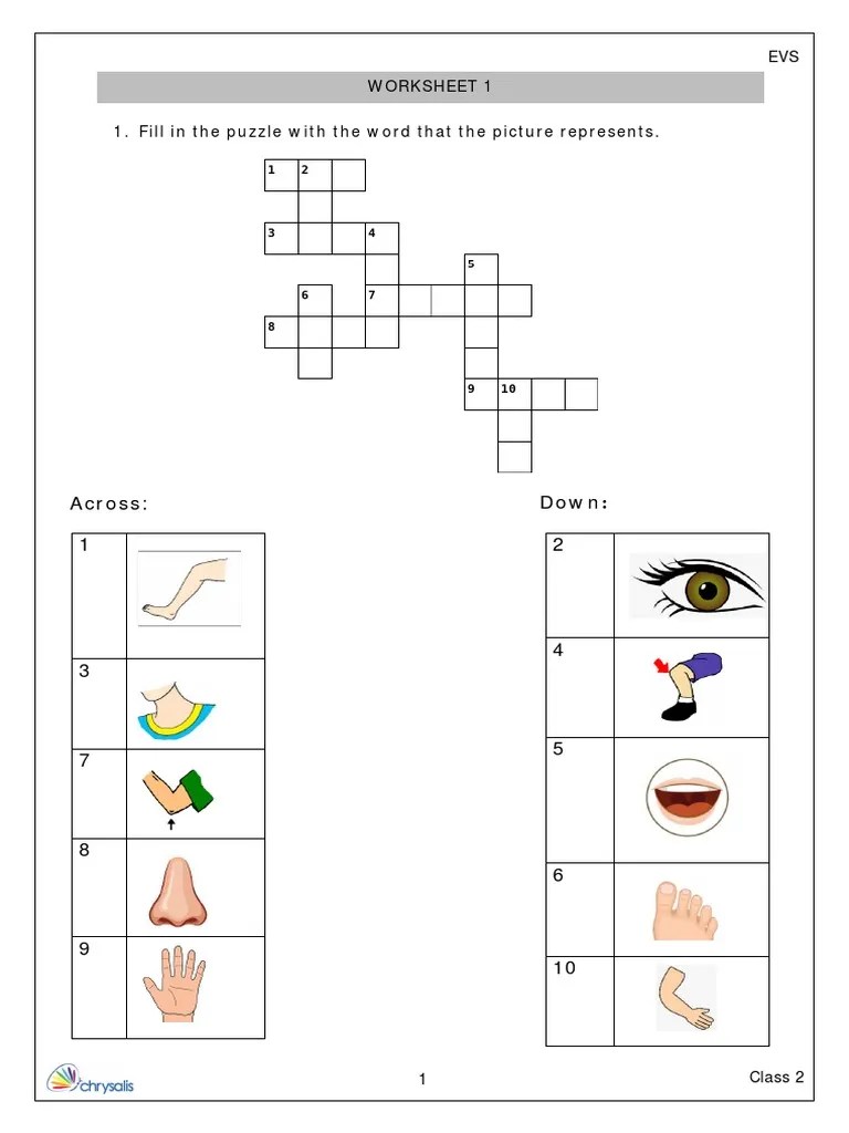 Class 2 - EVS - Week 1 - Day 2 Worksheet 1 | PDF | Language Arts ...