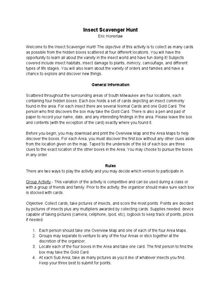 Insect Scavenger Hunt | PDF