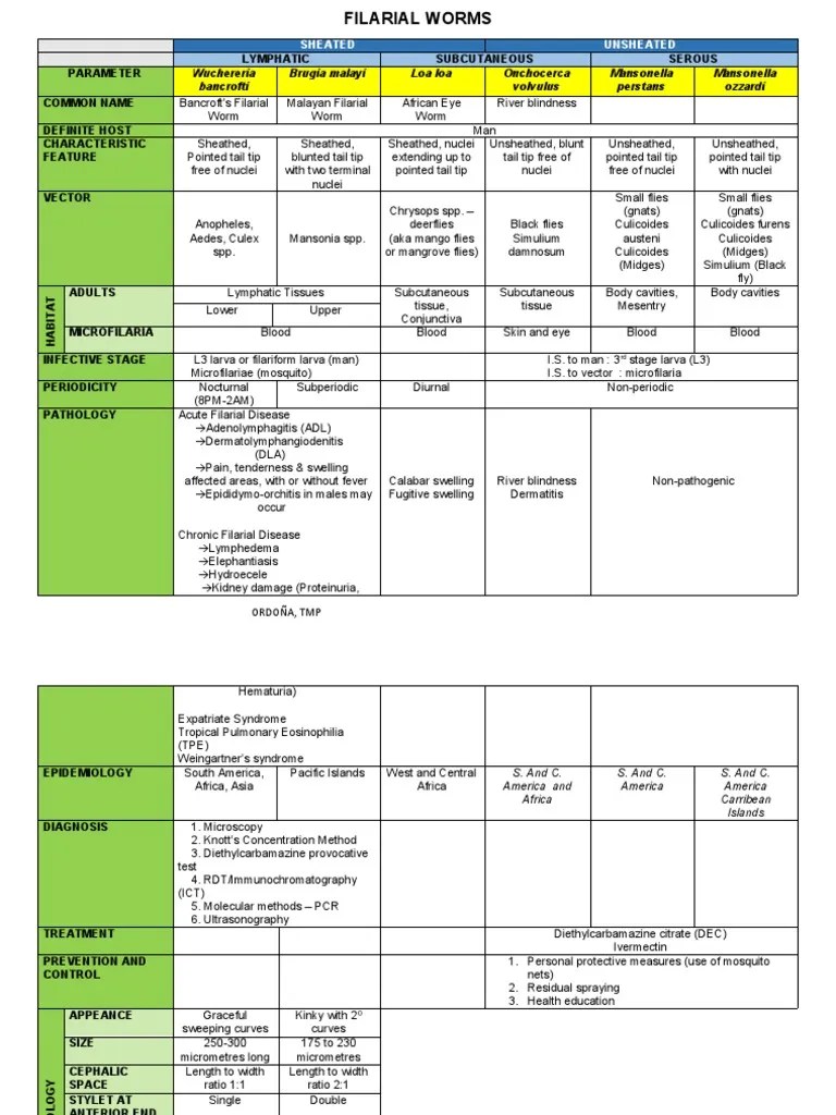 Table Filarial Worms Pdf Medicine Parasitology
