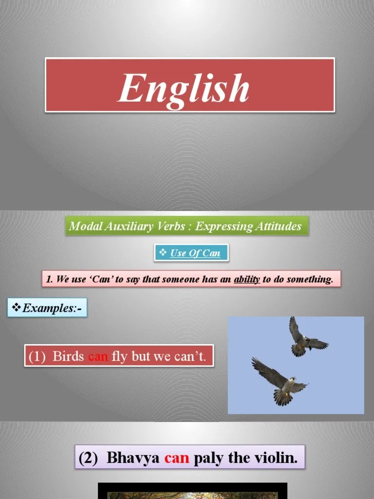Modal Auxiliary Verbs | PDF | Verb | Linguistic Morphology