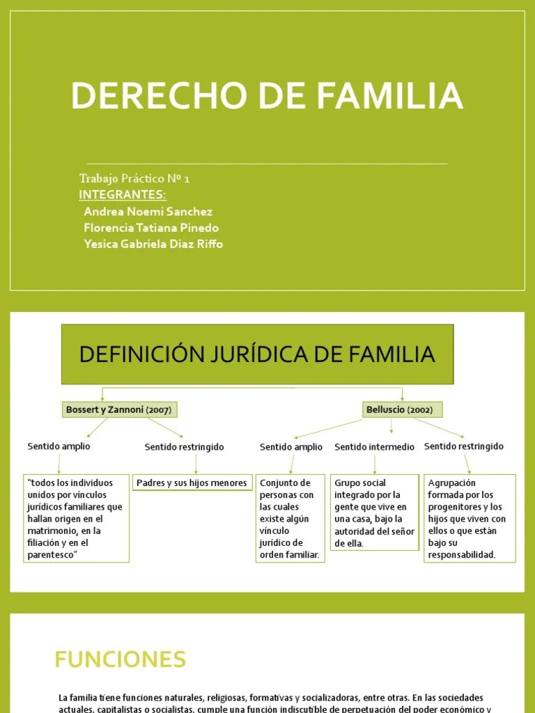 Trabajo Práctico N°1 - Derecho De Familia Parte 1 | PDF | Parentesco | Derechos Humanos