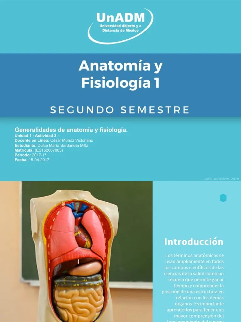 Anatomía Y Fisiología 1 (Presentación) | PDF