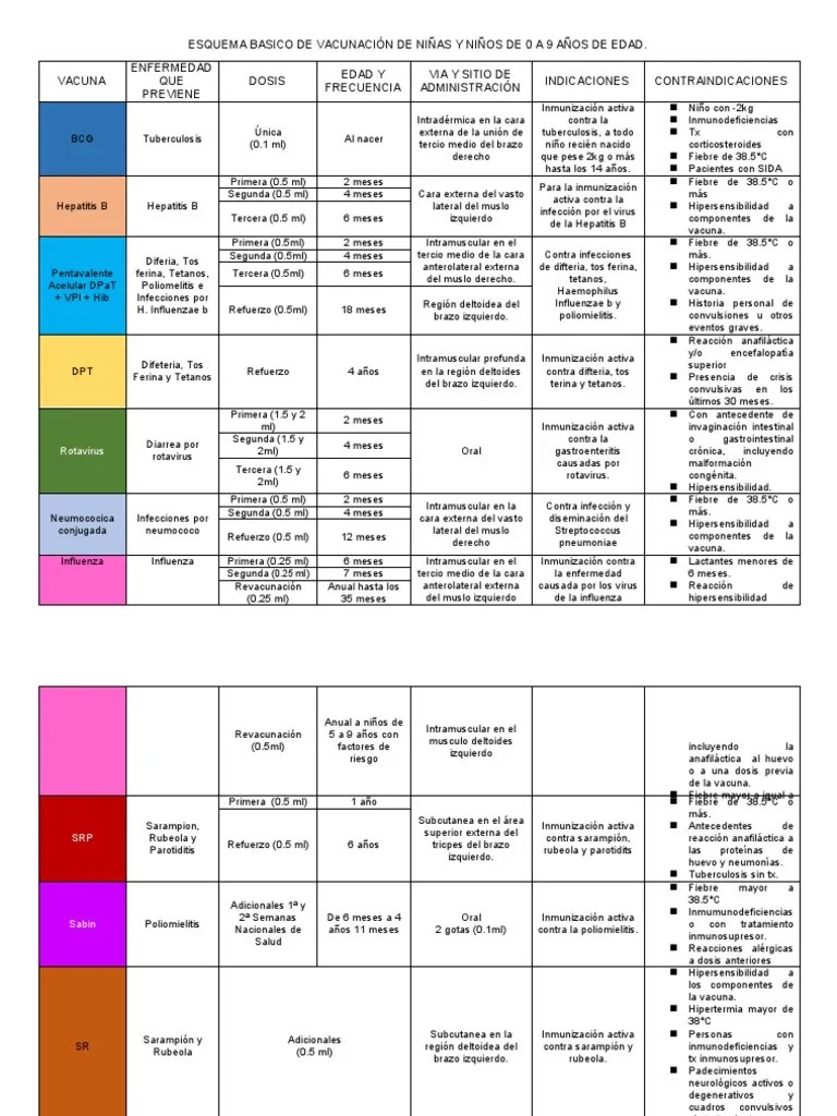 Esquema Basico De Vacunacion De Ninas Y | PDF | Vacunas | Influenza