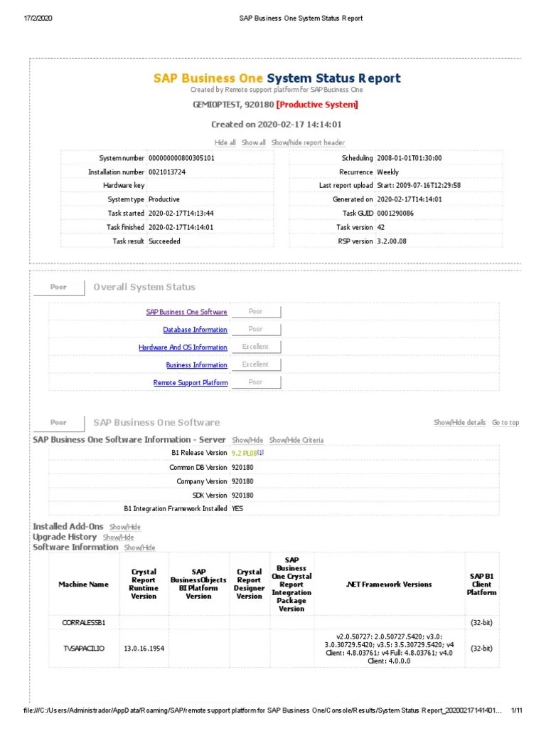 SAP Business One System Status Report | PDF | Software | Information ...