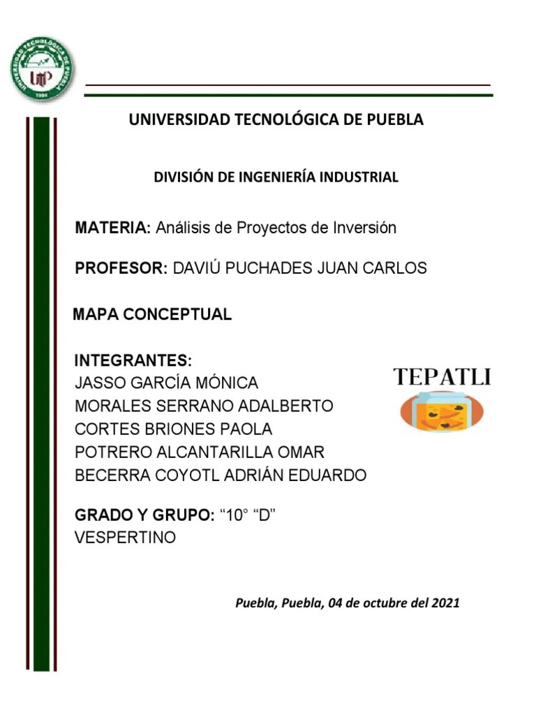 Análisis De Proyectos De Inversión | PDF | Economias | Business
