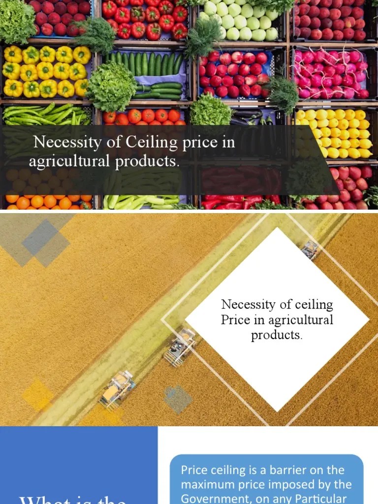 Eco Presentation Pdf