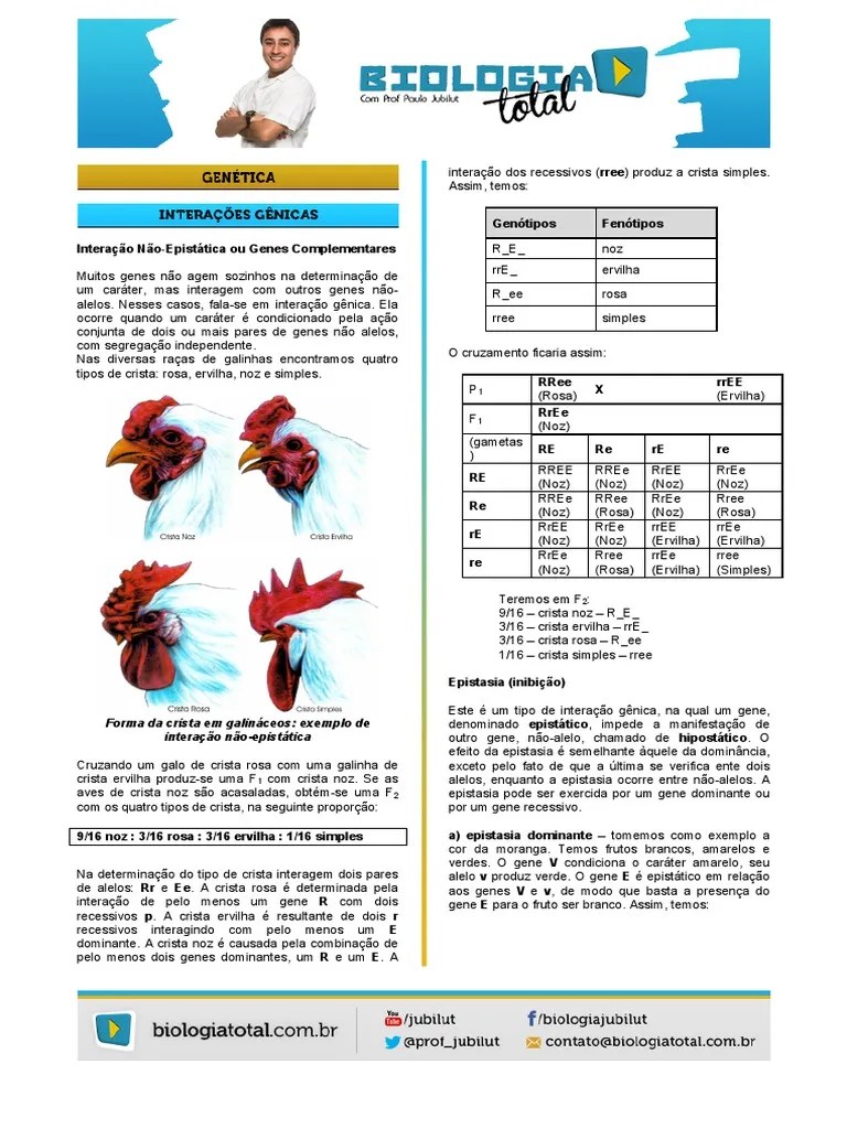 12 Interação Gênica E Epistasia | PDF | Alelo | Epistasia