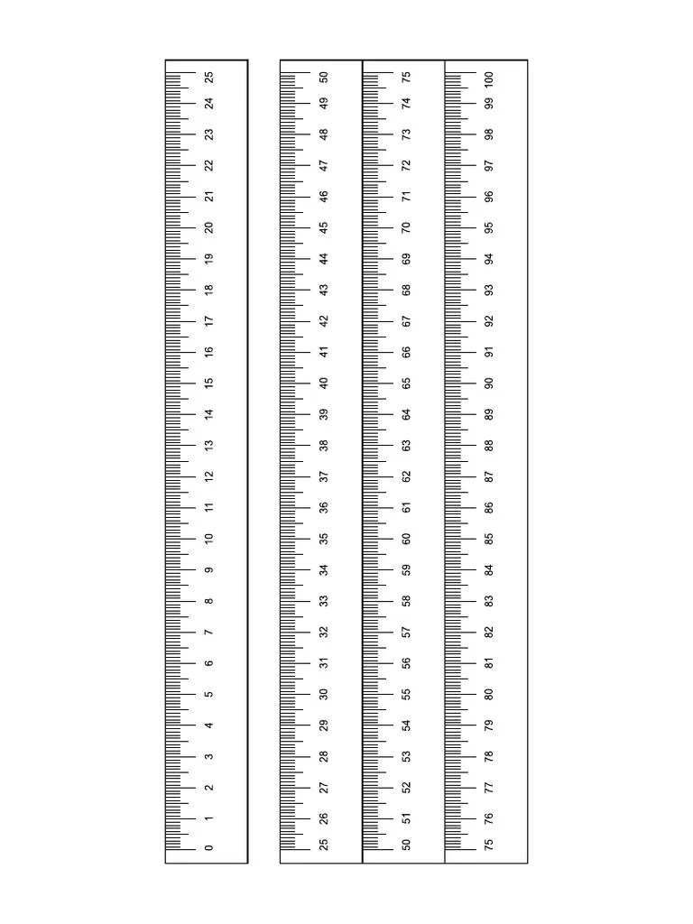 Rulers a4 simple