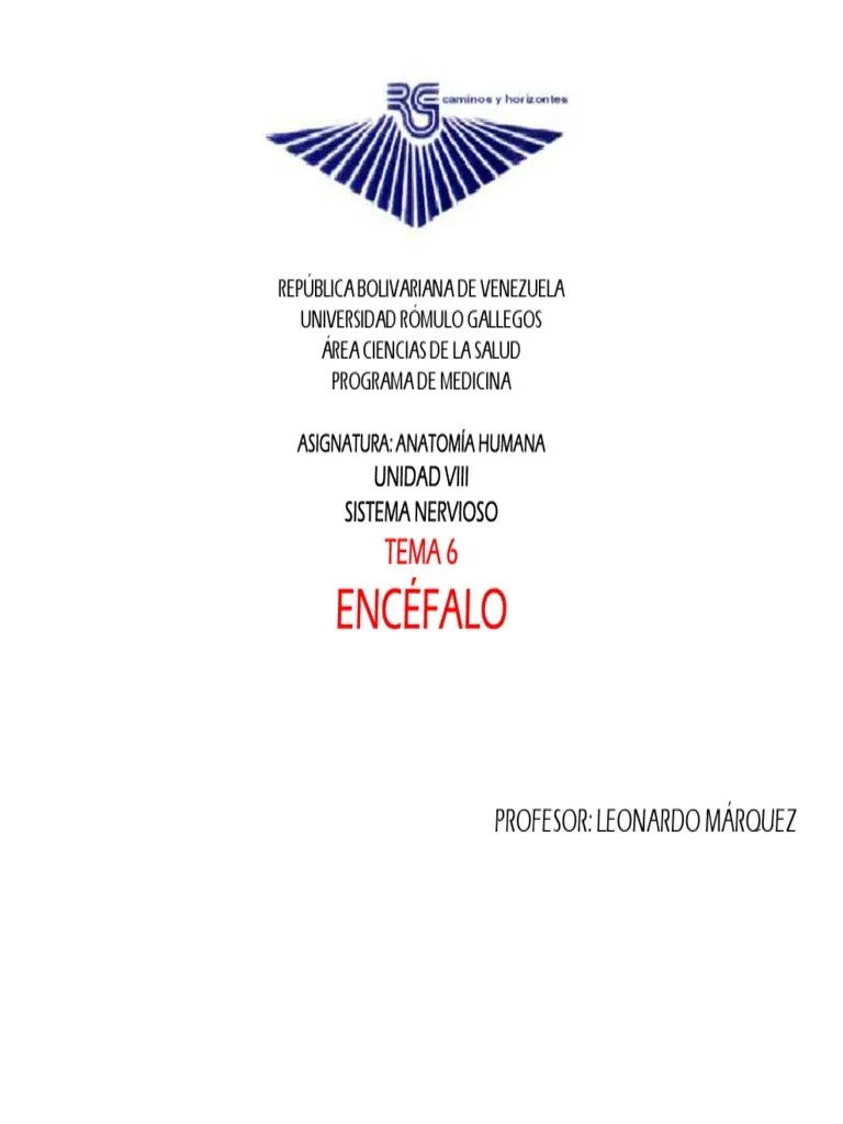 ENCÉFALO | PDF