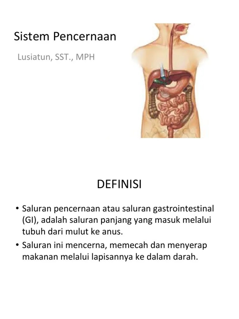 Sistem Pencernaan Manusia | PDF