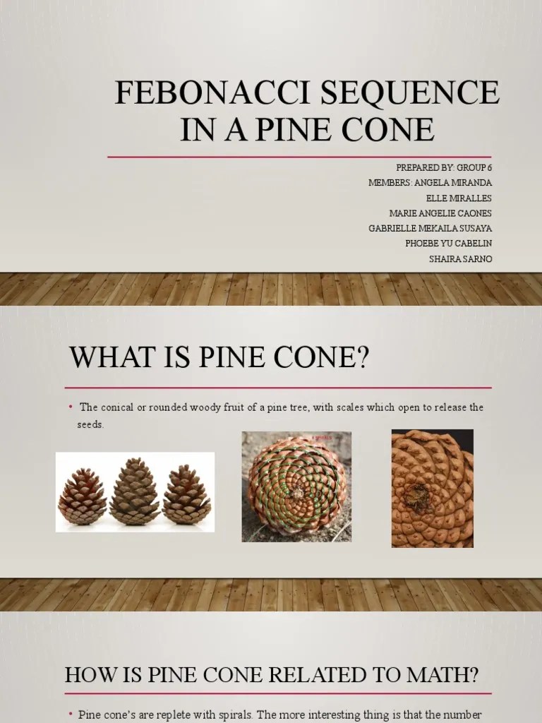 Powerpoint Project In Math By Group 6 | PDF