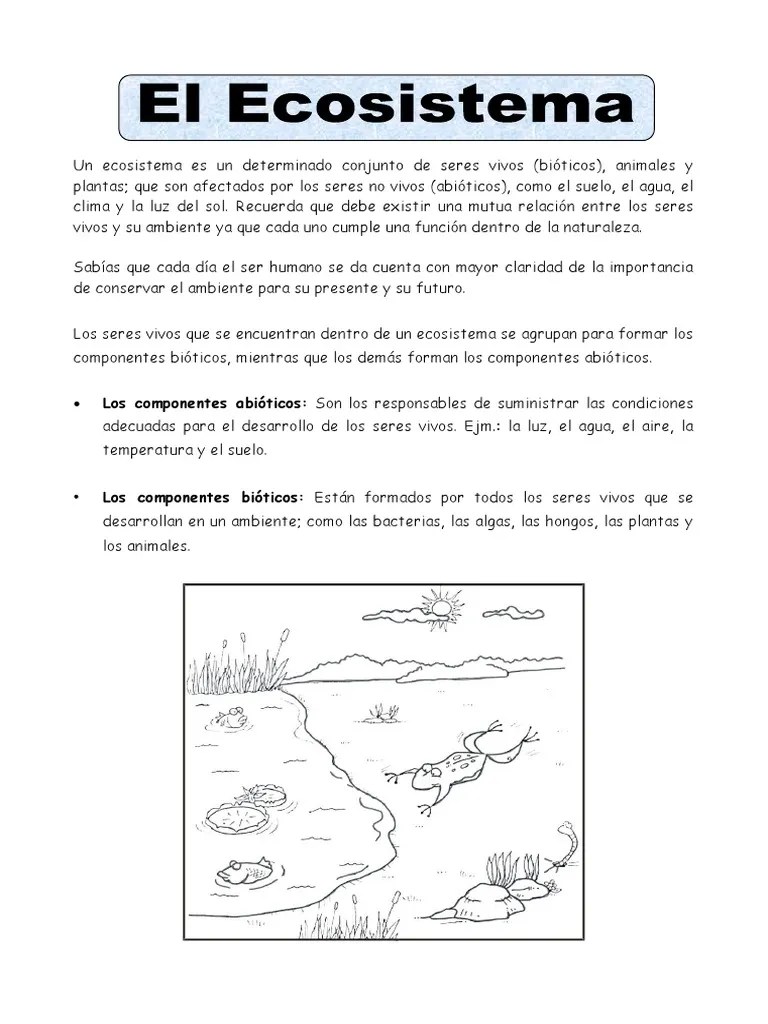 Ficha El Ecosistema. | PDF | Ecosistema | Entorno Natural