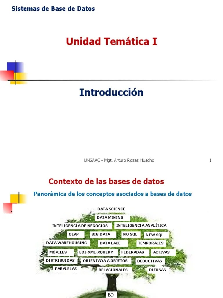 Introducción | PDF | Bases De Datos | Procesamiento De Datos