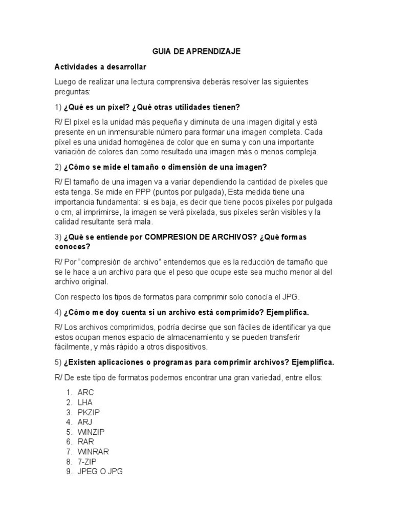 Guia De Aprendizaje | PDF | Archivo De Computadora | Píxel