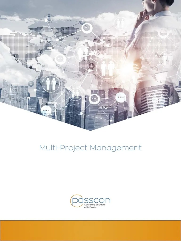 Multi-Project-Management EN V1 | PDF | Project Management | Goal