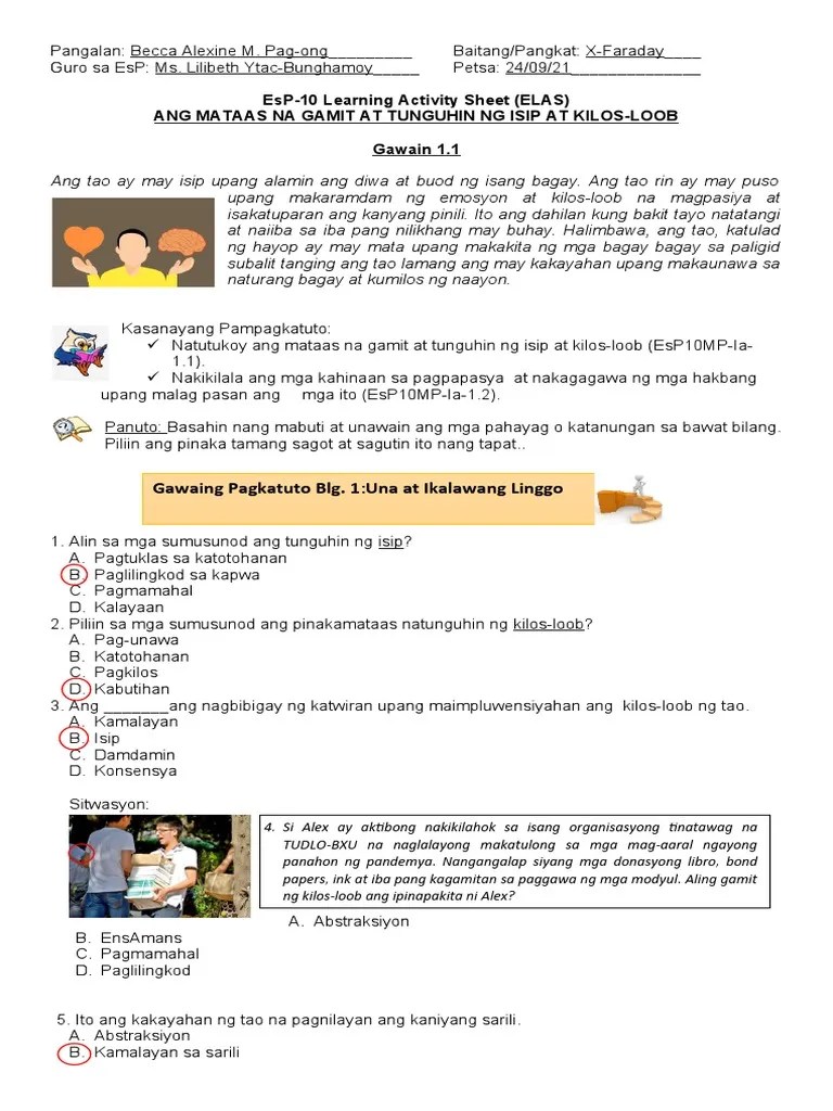 Activity 1.1 Answered | PDF