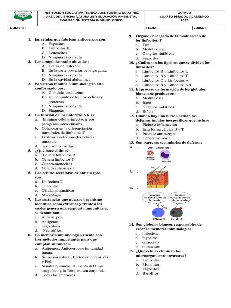 Evaluación Del Sistema Inmunológico Pdf Linfocitos Sistema Inmune