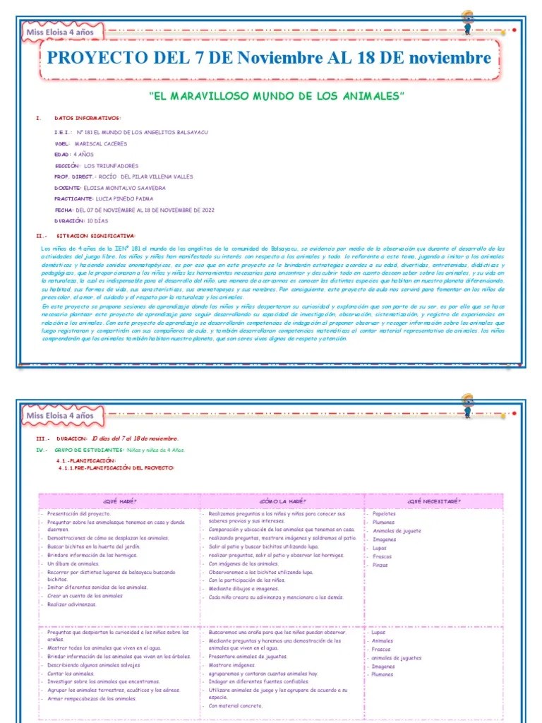 PROYECTO DE DE APRENDIZAJE - 4 AÑOS (noviembre) | PDF | Aprendizaje ...
