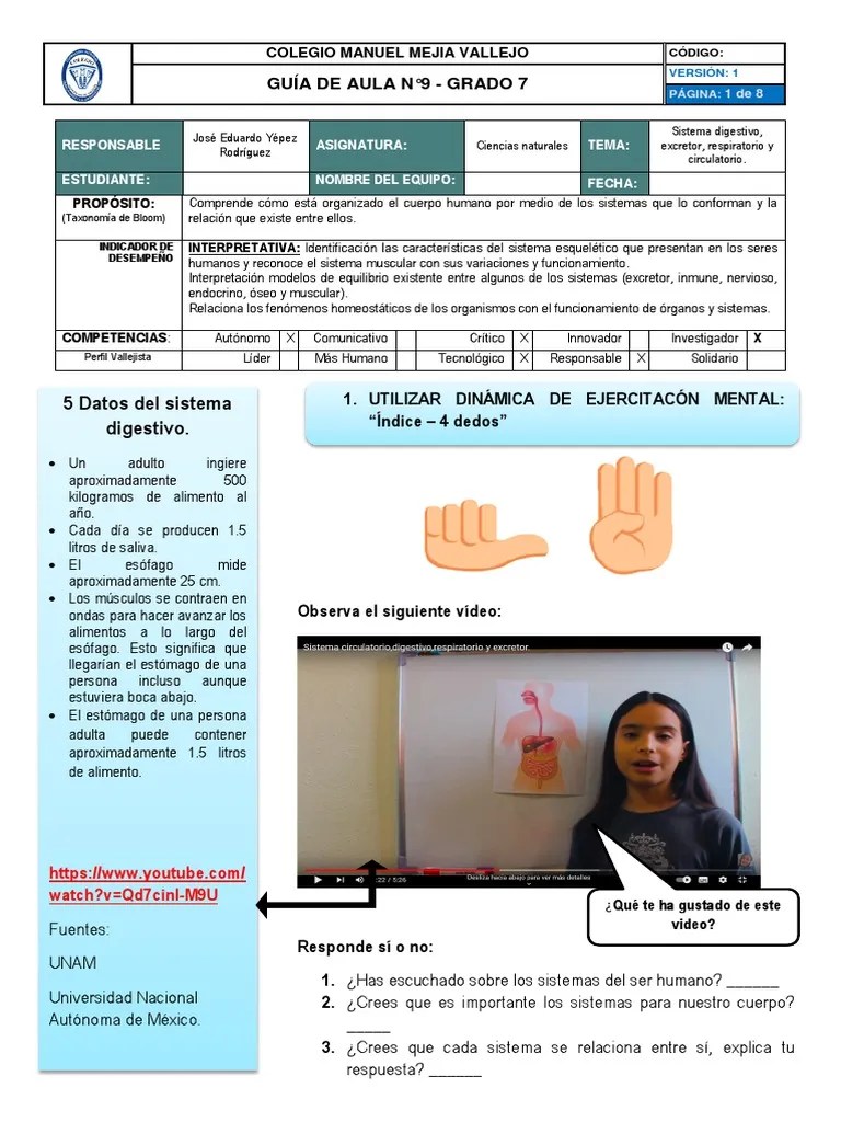 Guía De Aula 8 - Sistema Digestivo, Excretor Y Respiratorio-Tercer Periodo Grado 7 | PDF | Orina ...