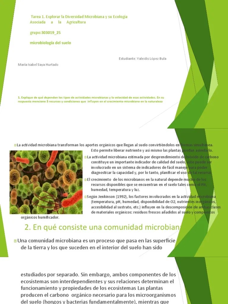 Diapositivas Microbiologia De Suelos Tarea 2 | PDF