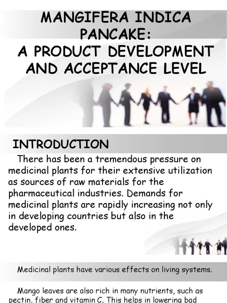 Research Powerpoint Presentation | PDF