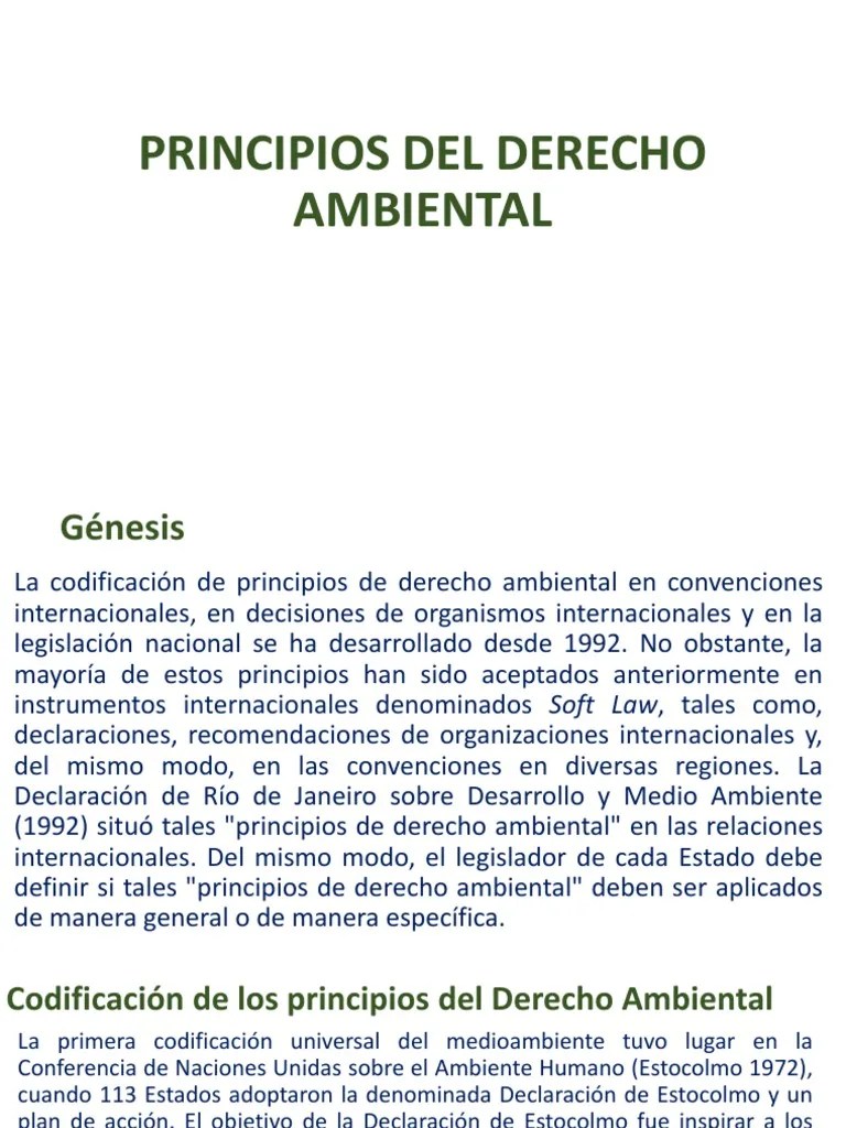 Principios Del Derecho Ambiental | PDF