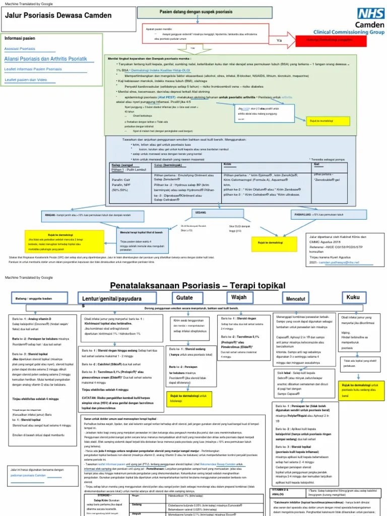 Psoriasis Pathway | PDF