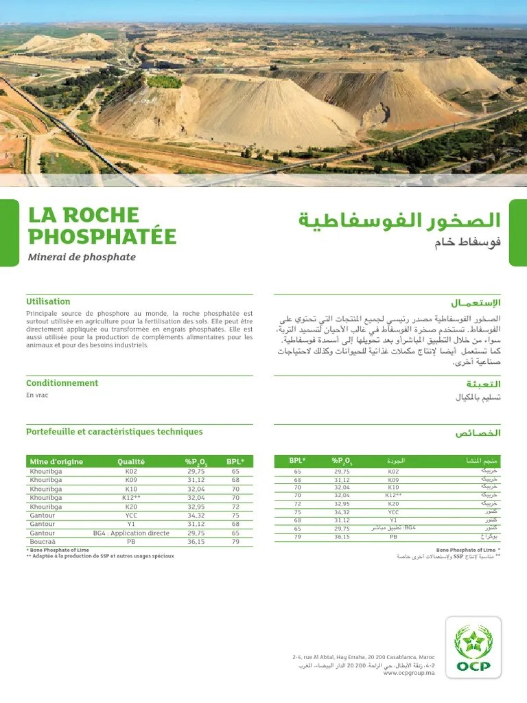 Guide Produits Ocp | PDF