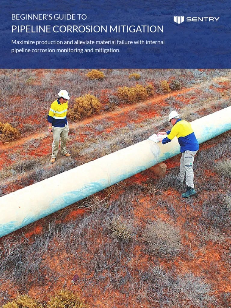Pipeline Corrosion Mitigation | PDF | Pipeline Transport | Fluid Dynamics