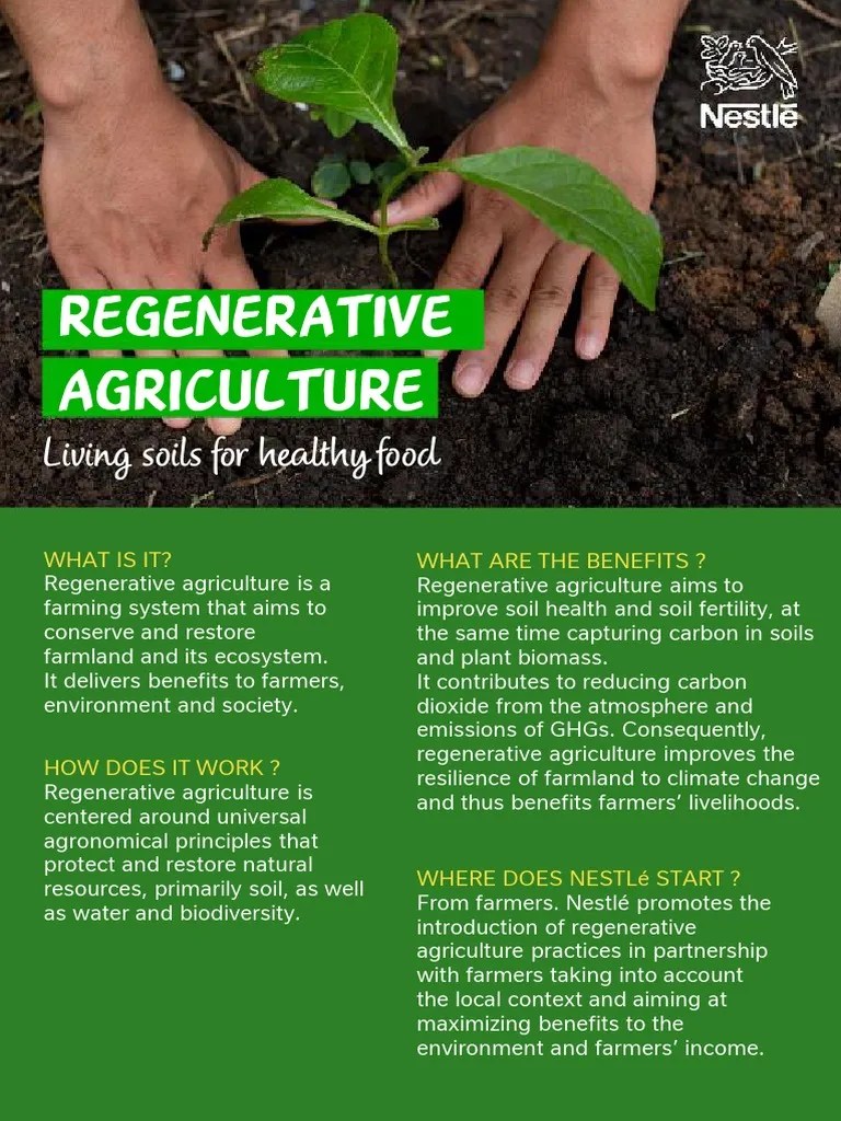 Regenerative Agriculture One Pager - English | PDF | Agriculture | Crop ...