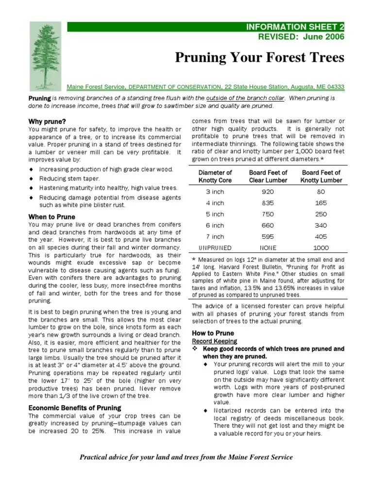 2 Pruning | PDF | Pruning | Trees