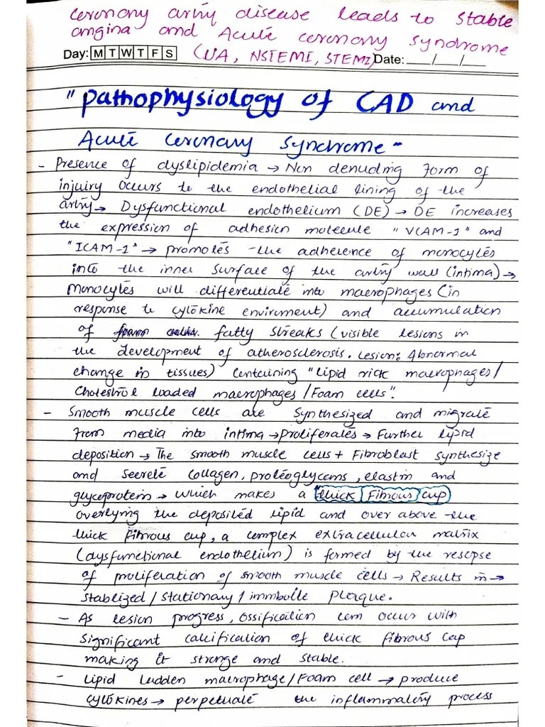 Acute Coronary Syndrome | PDF