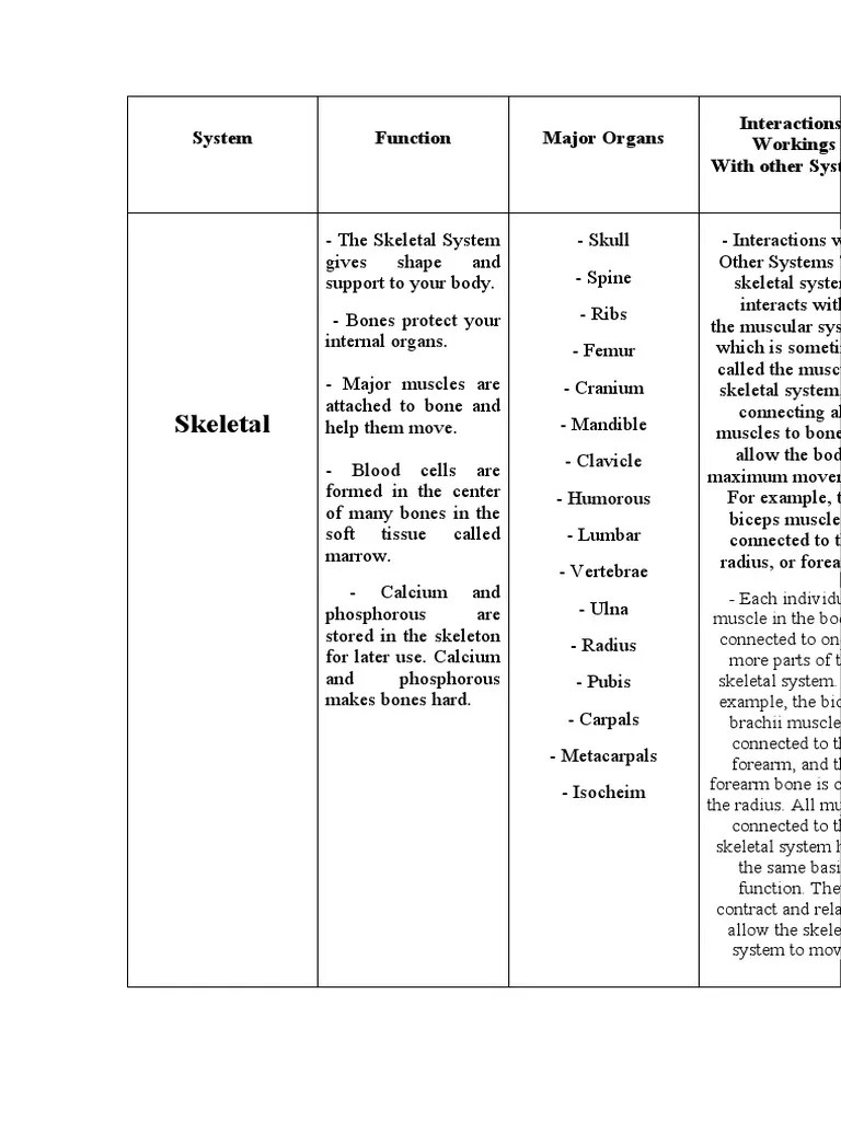 Skeletal System | PDF | Skeleton | Skeletal Muscle
