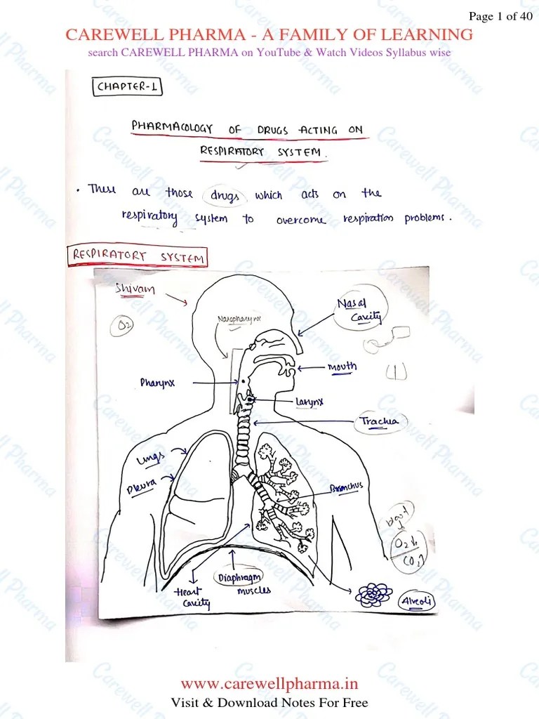 Pharmacology Of Drugs Acting On Respiratory System Complete | PDF ...